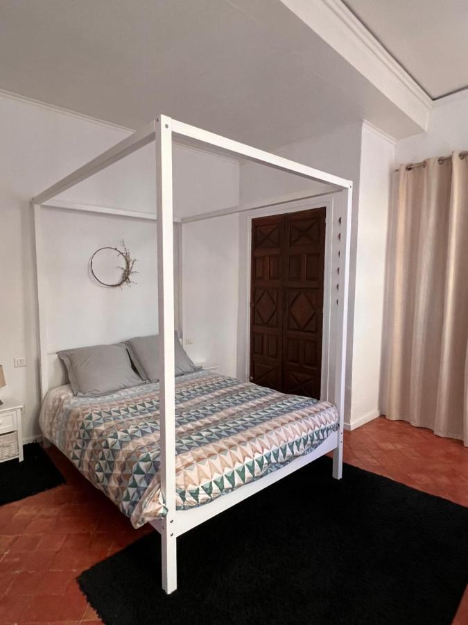 Perpignan Appartement En Plein Centre Historique Ngoại thất bức ảnh
